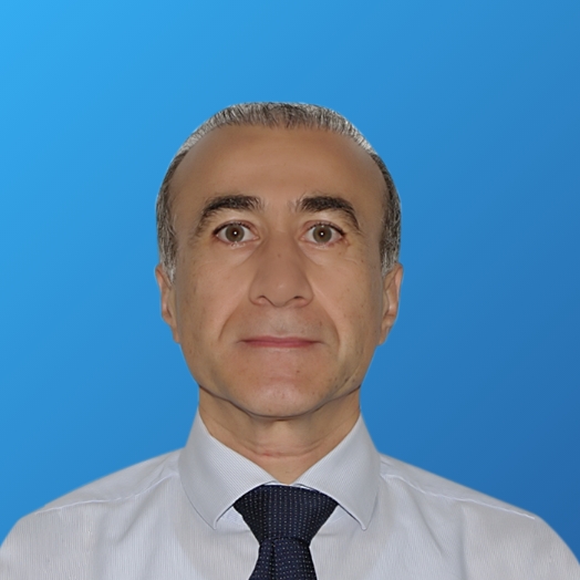 NASSER DILMAGHANI ZADEH